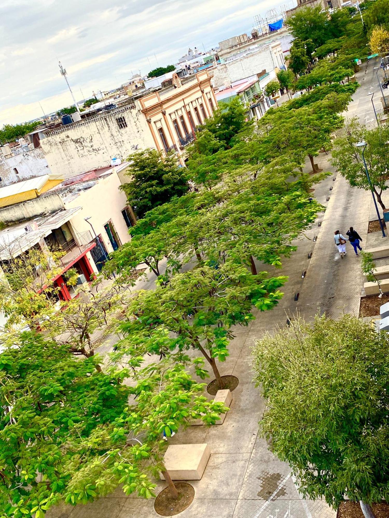 Hostal Santuario De Las Libelulas Guadalajara Eksteriør bilde